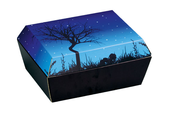 AMOPET-Tiersarg-Gr2-Nachthimmel